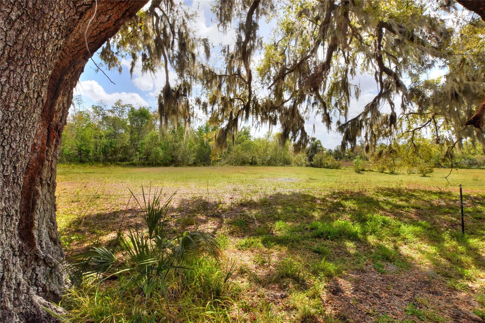 TB8362091 Property Photo