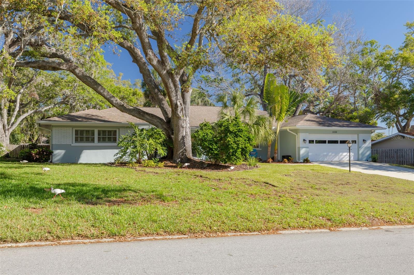3330 San Bernadino St Property Photo 1