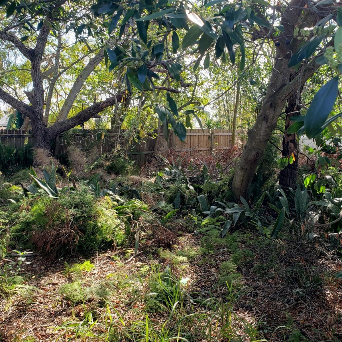 Virginia Ave Property Photo 4