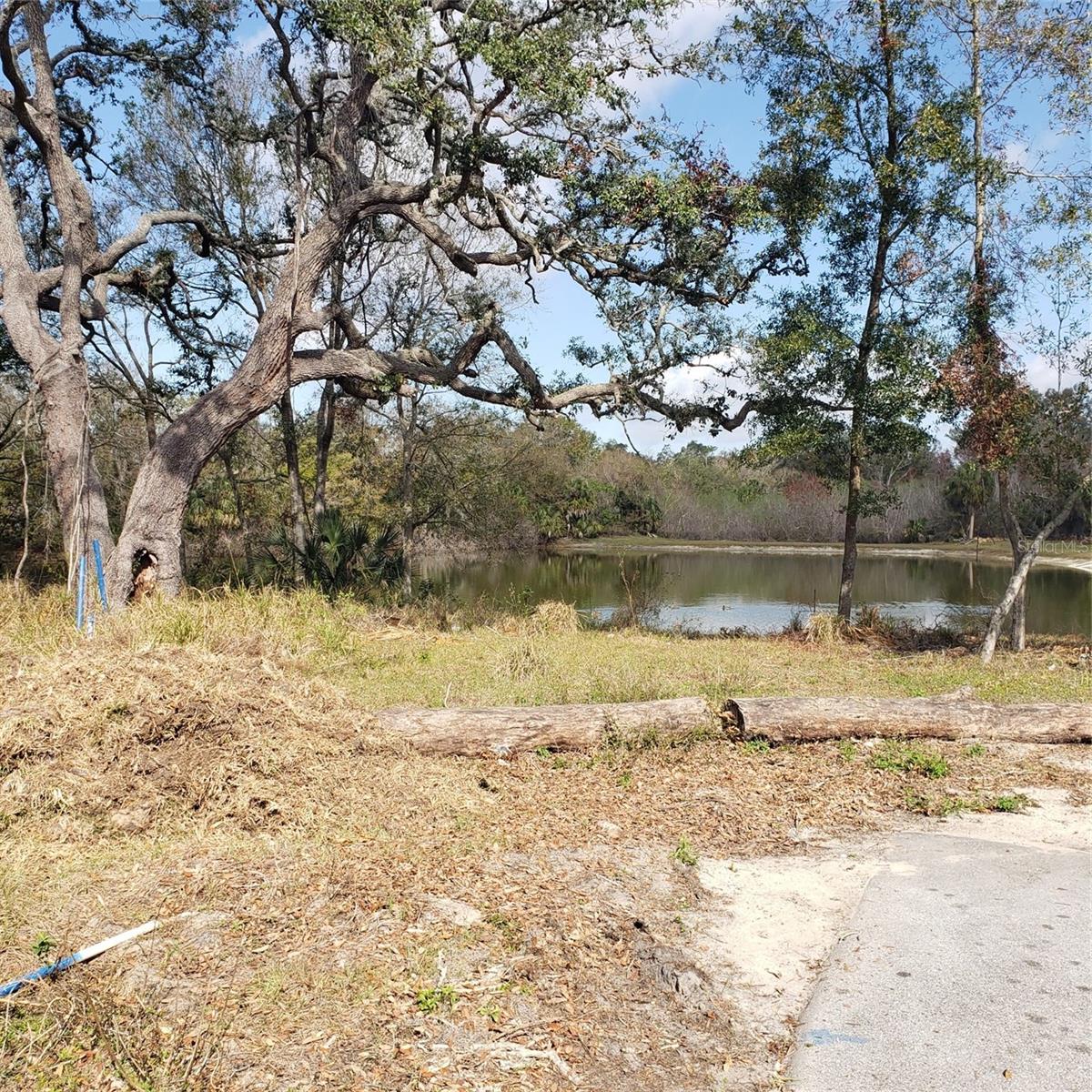 Virginia Ave Property Photo 8