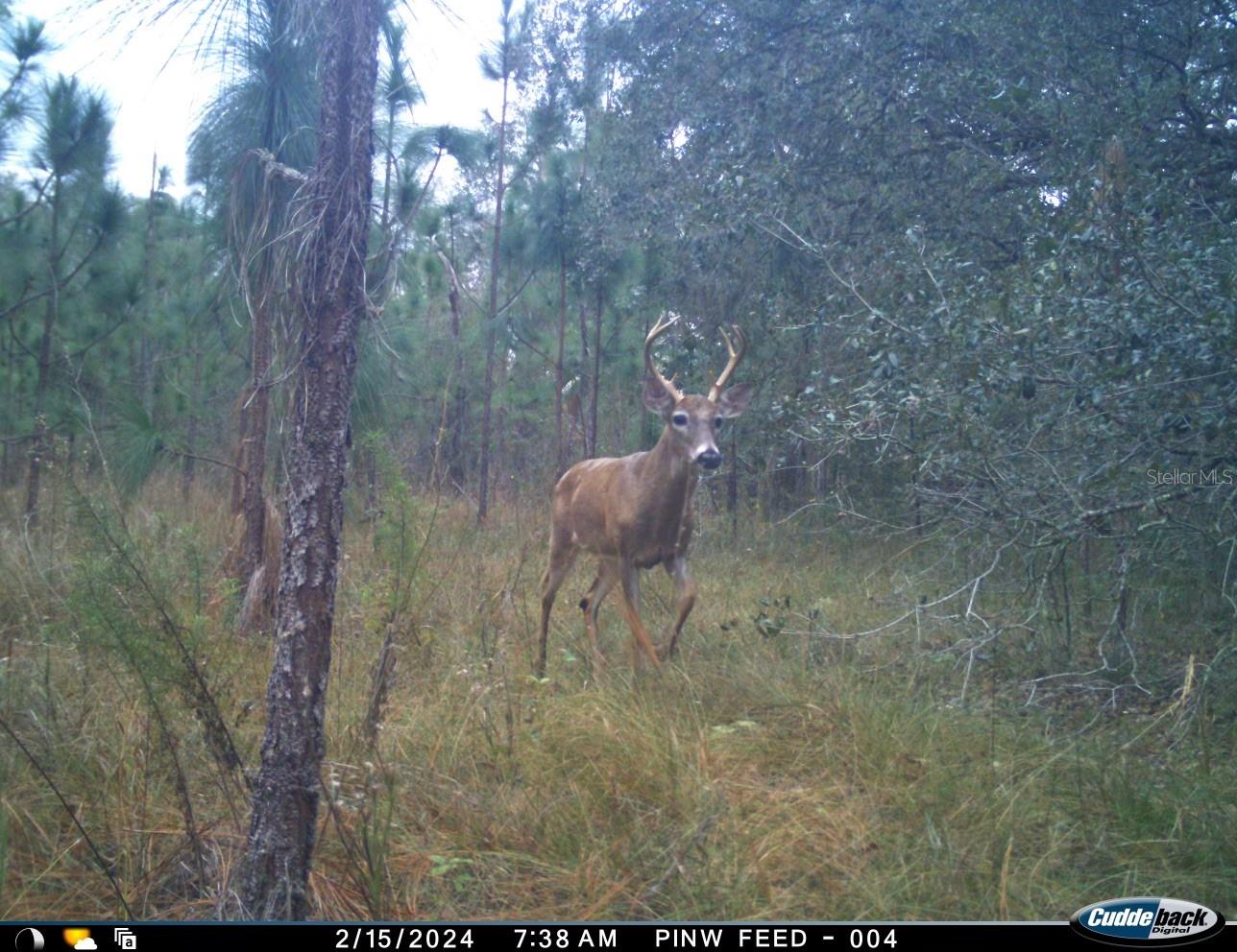 01 Unnamed Property Photo 8