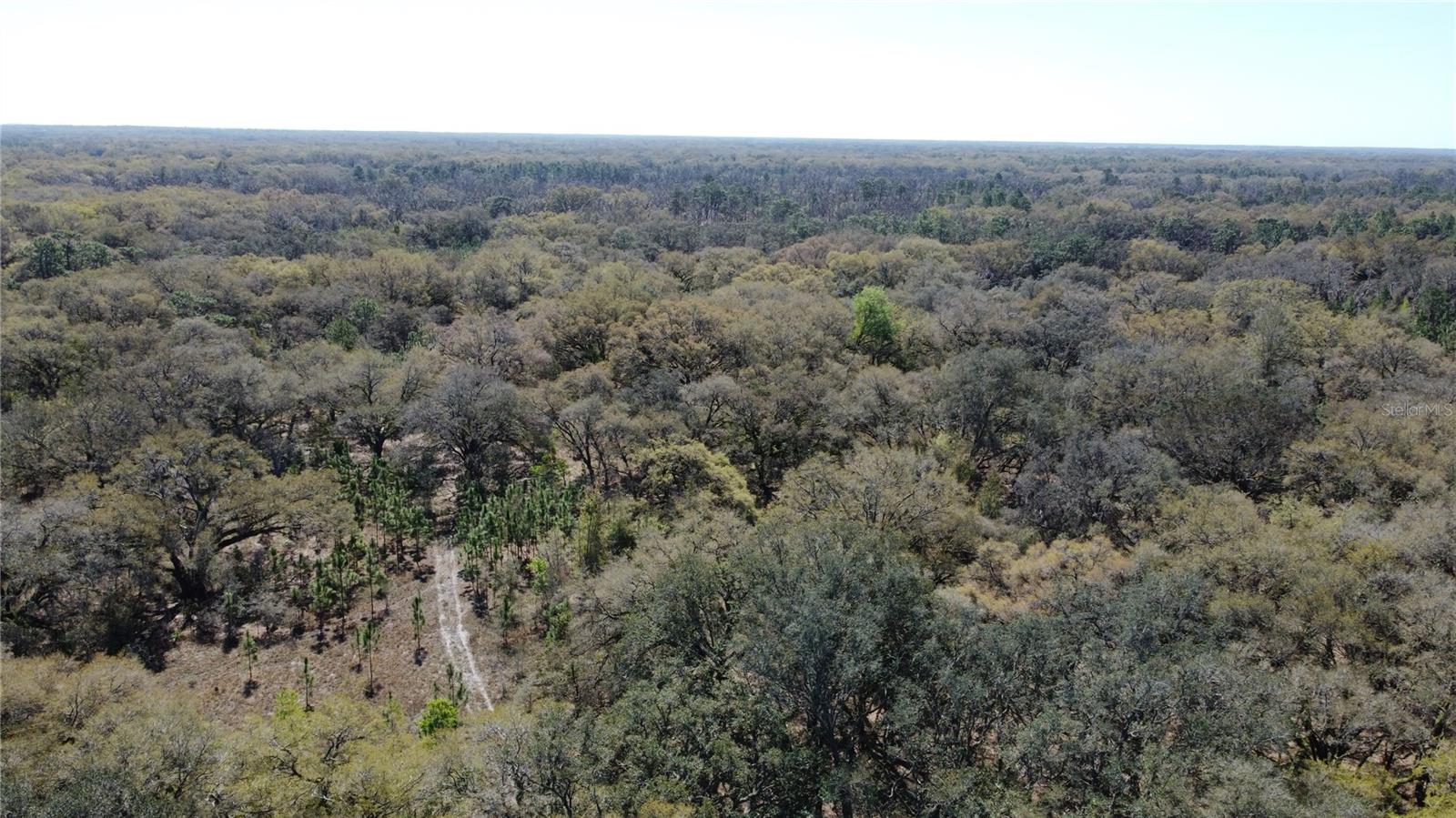 01 Unnamed Property Photo 11
