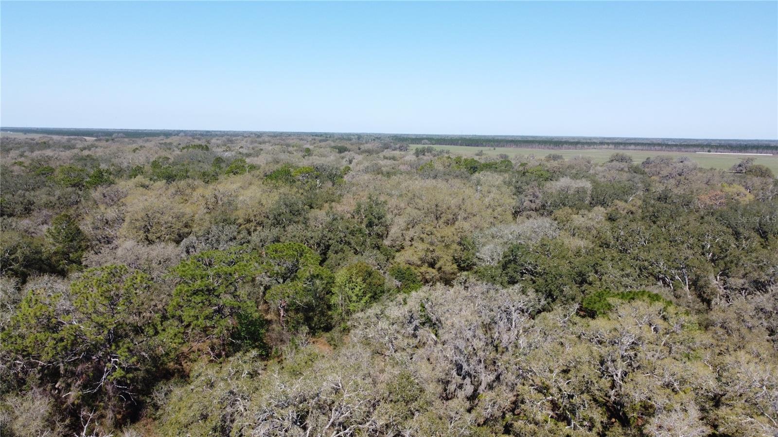 01 Unnamed Property Photo 14