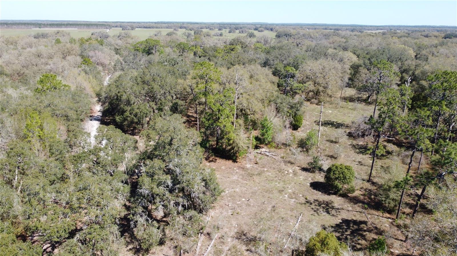 01 Unnamed Property Photo 15