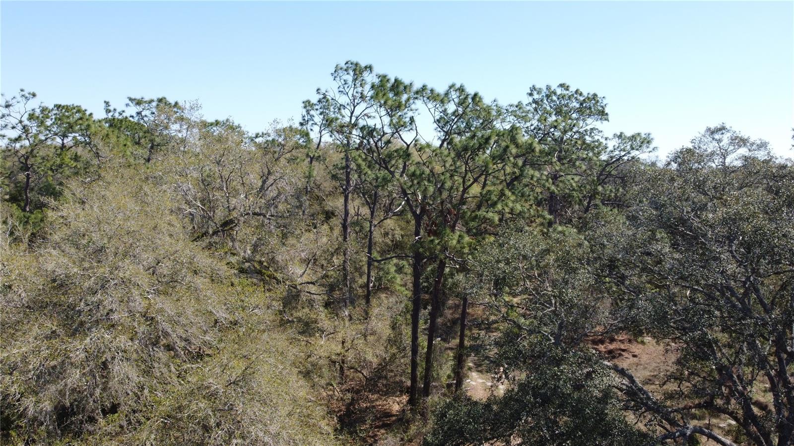 01 Unnamed Property Photo 16
