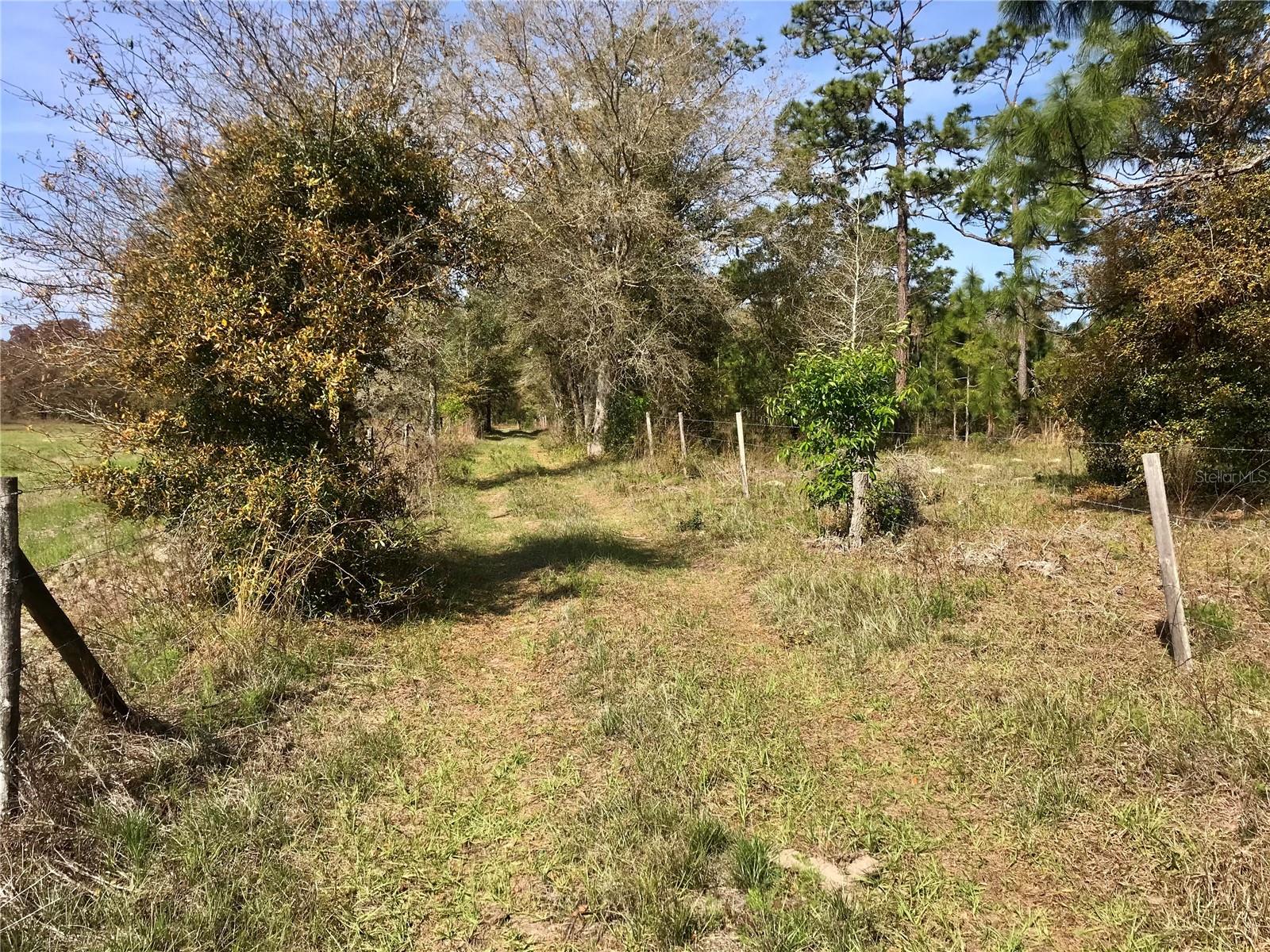 01 Unnamed Property Photo 42