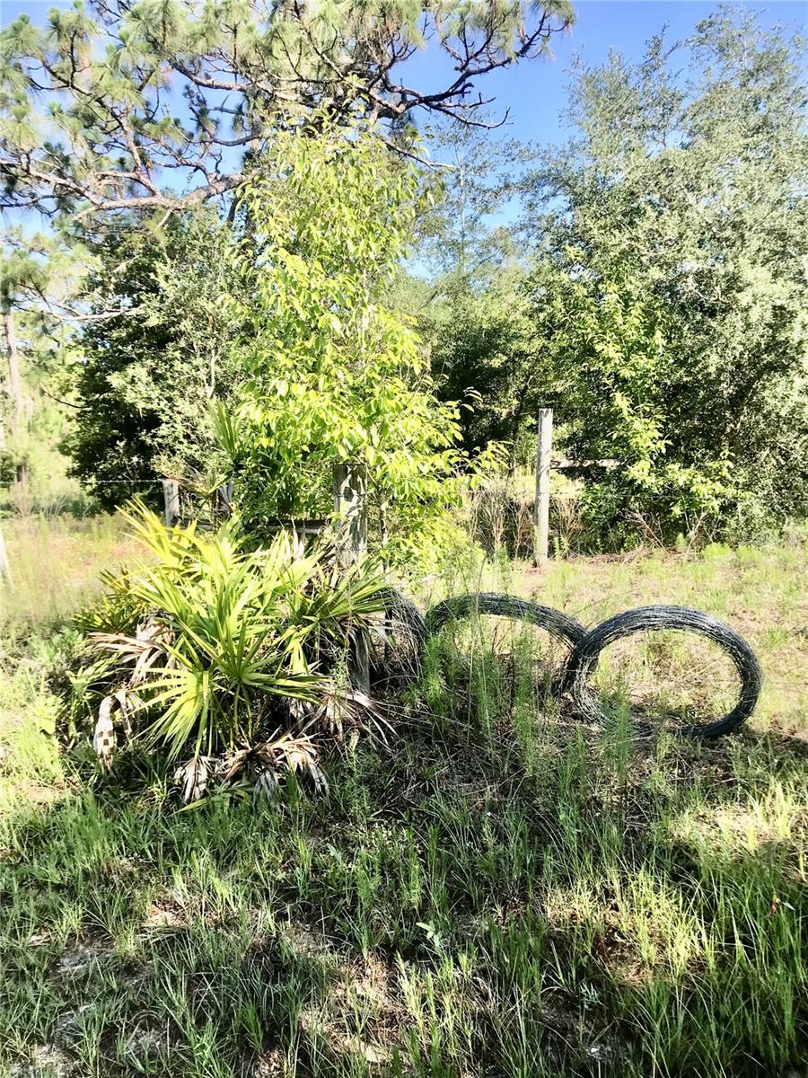 01 Unnamed Property Photo 44