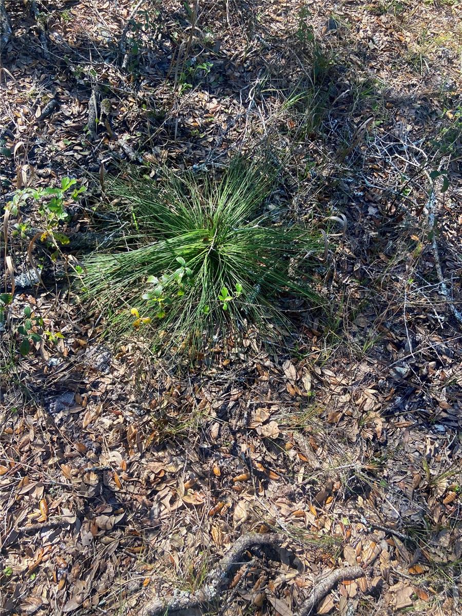 01 Unnamed Property Photo 75