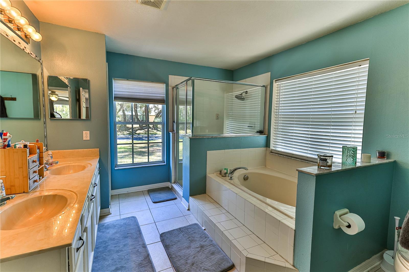 10 Greentree St Property Photo 21