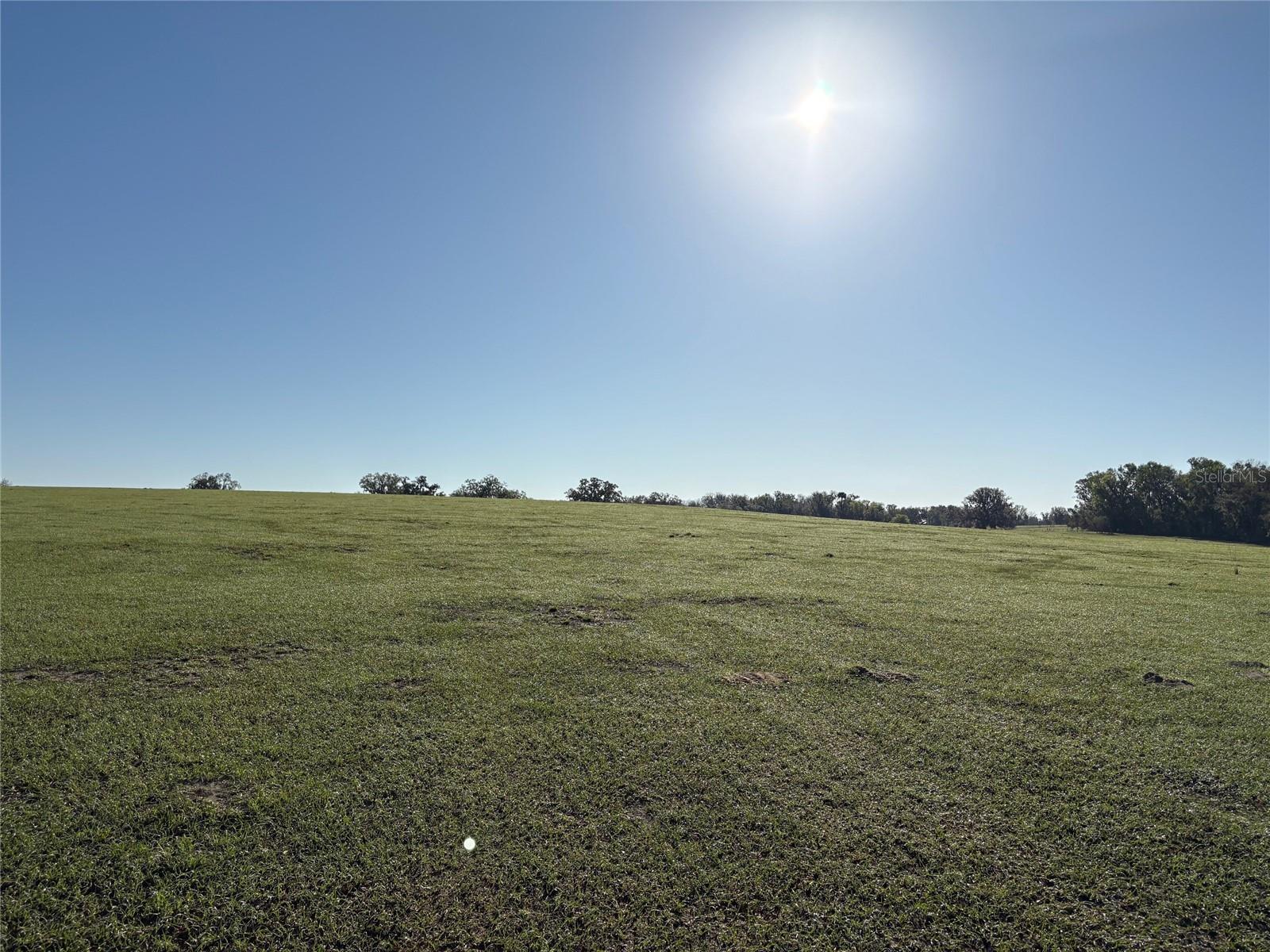 0 Citrus Way Property Photo