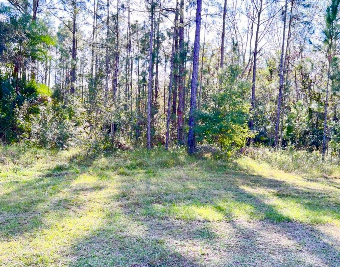 1011 Indian Lake Dr Property Photo