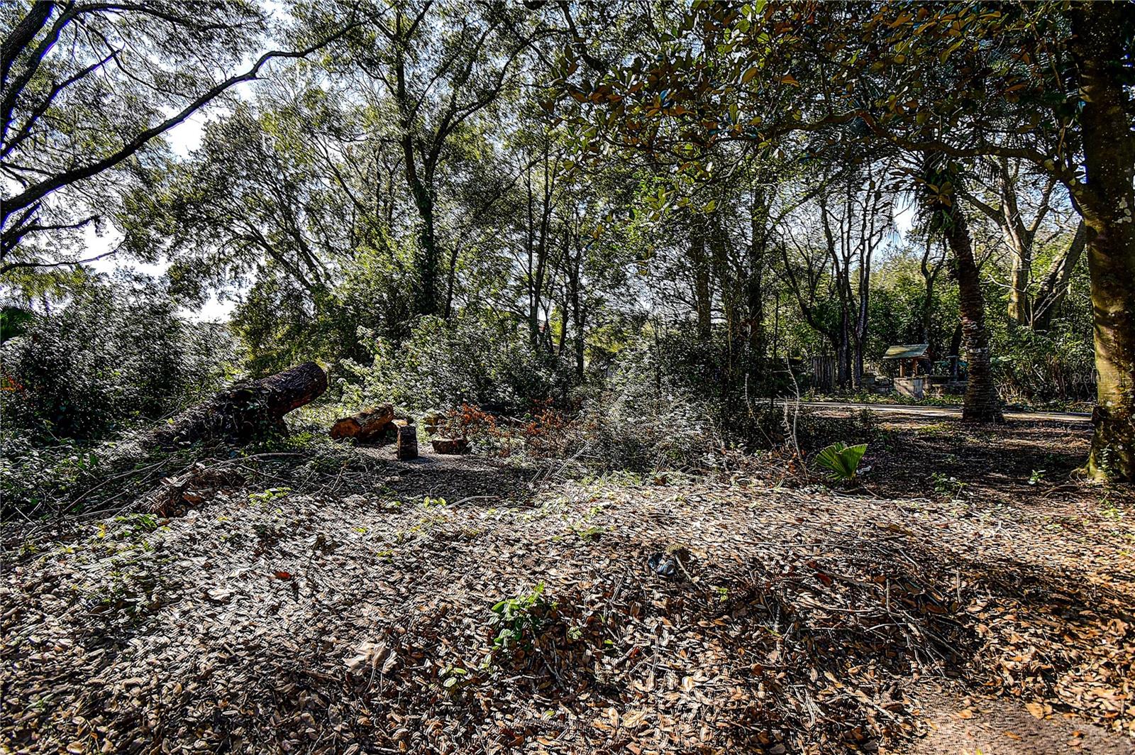 37644 Daughtery Rd Property Photo 15