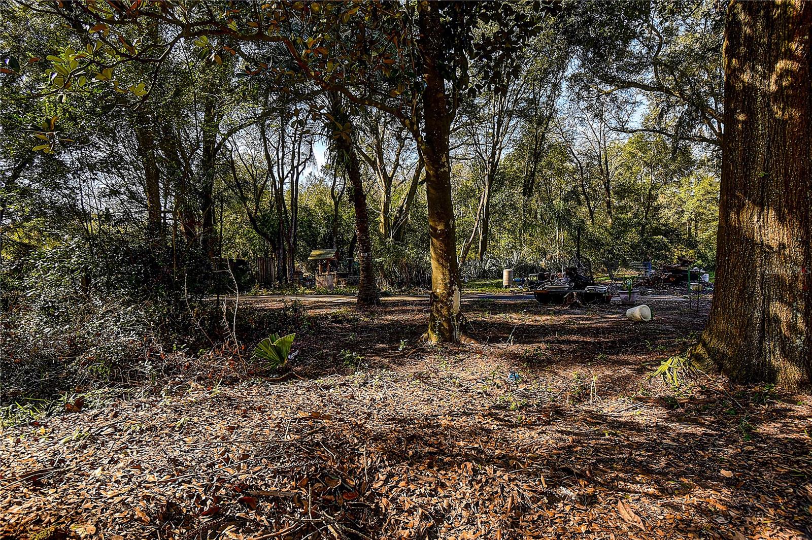 37644 Daughtery Rd Property Photo 17