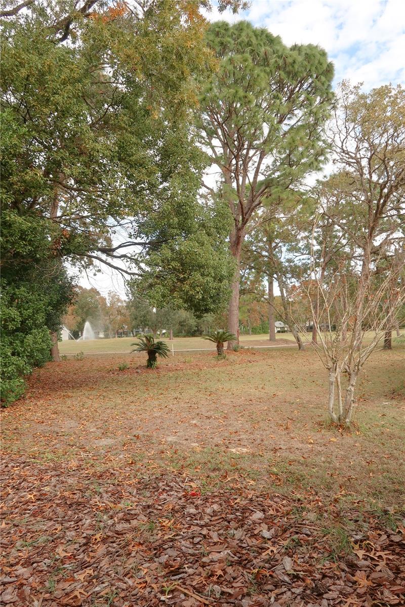 44 Golfview Ct Property Photo 14