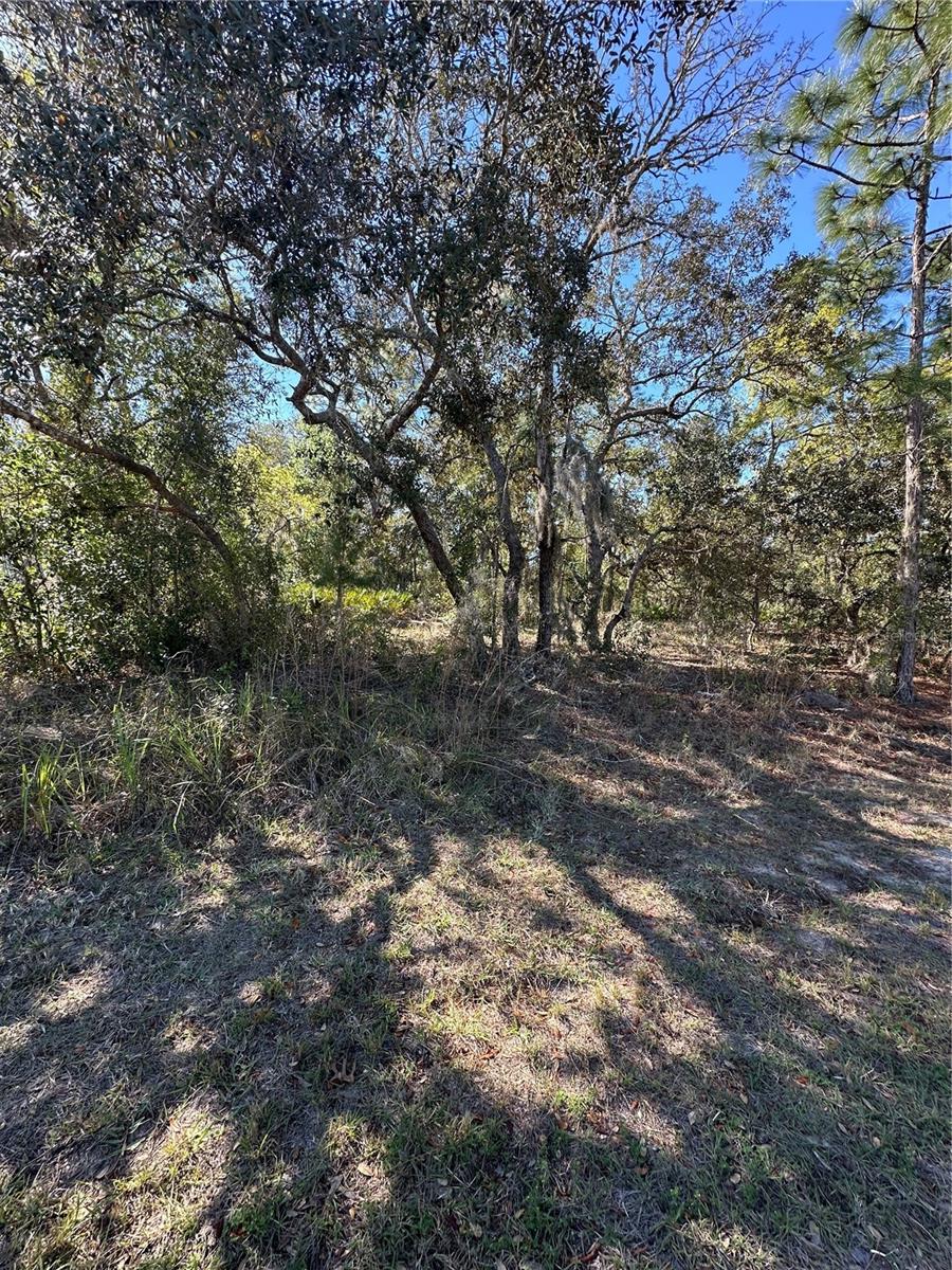 7 Sweetbay Ct Property Photo 2