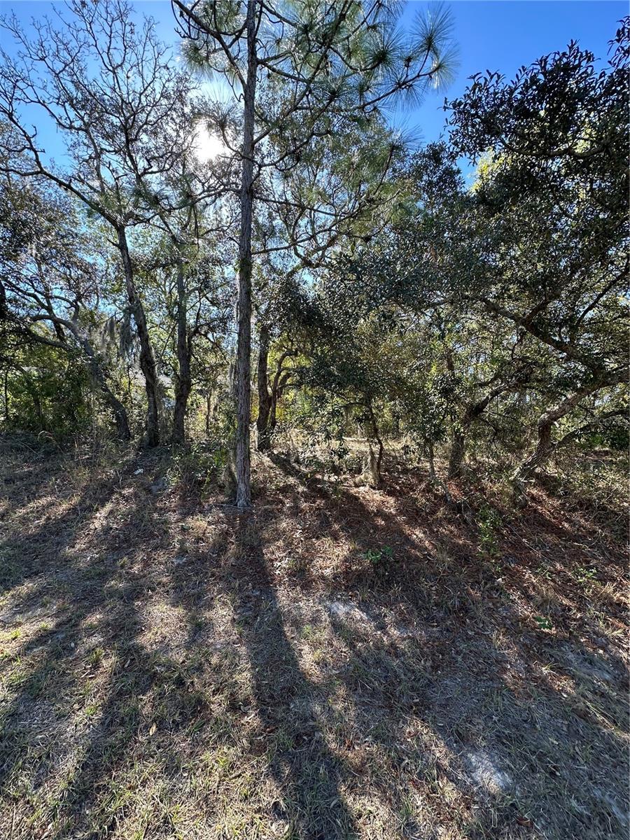 7 Sweetbay Ct Property Photo 6