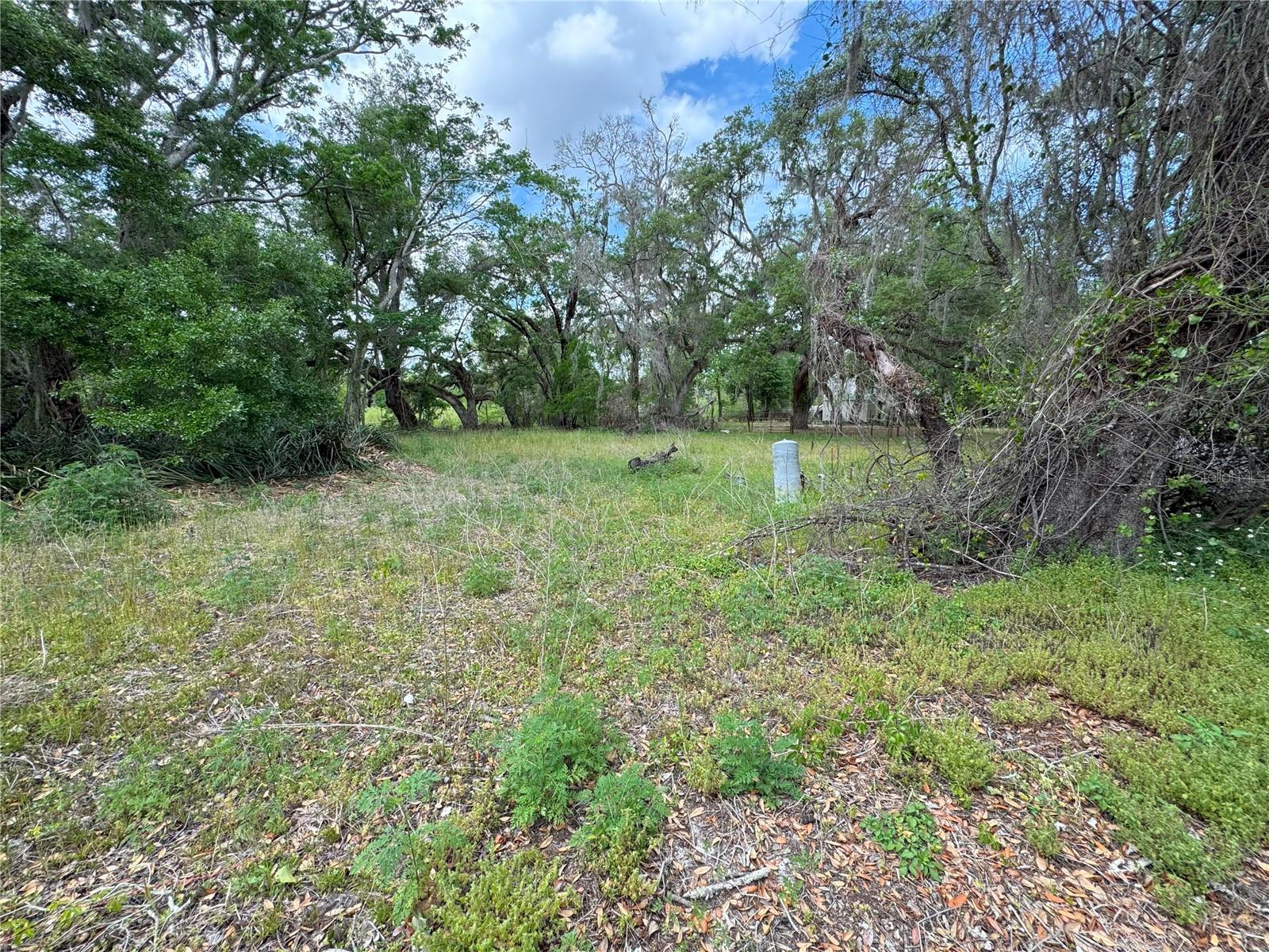3221 Dublin Rd Property Photo 3