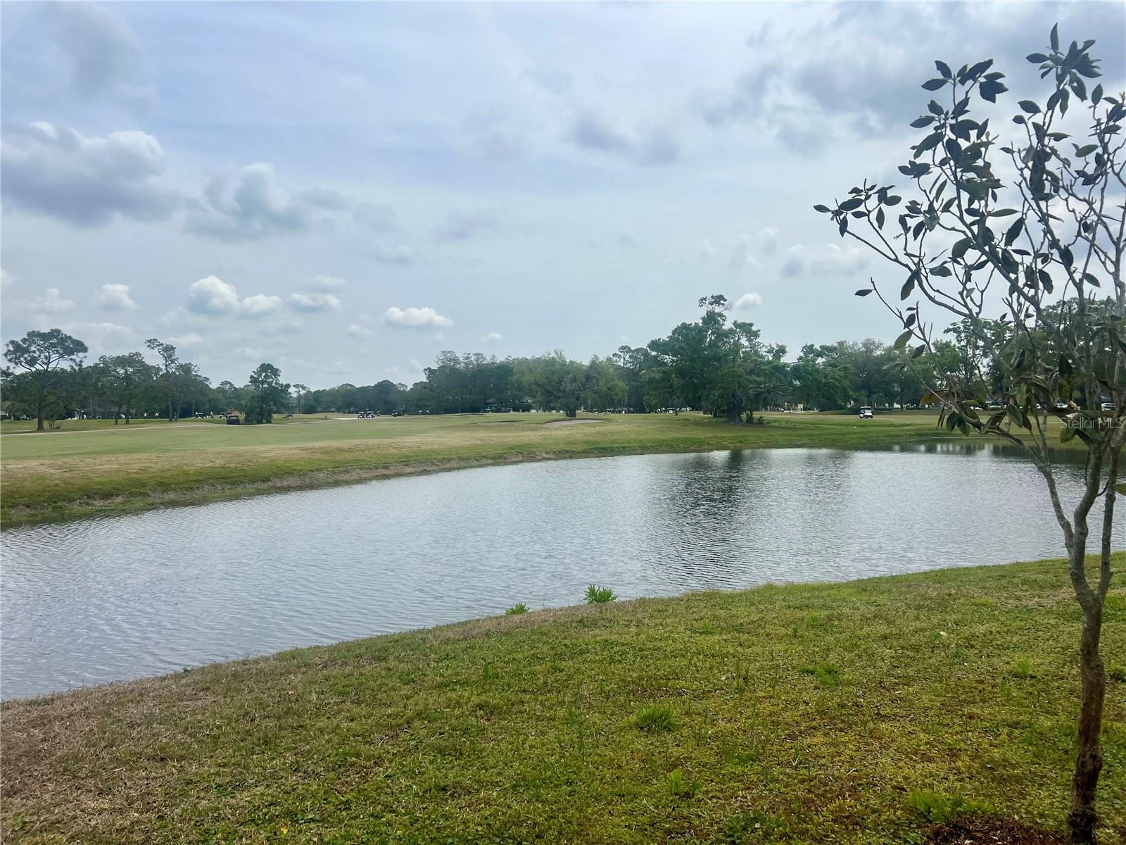 3629 Indigo Pond Dr #3629 Property Photo 41