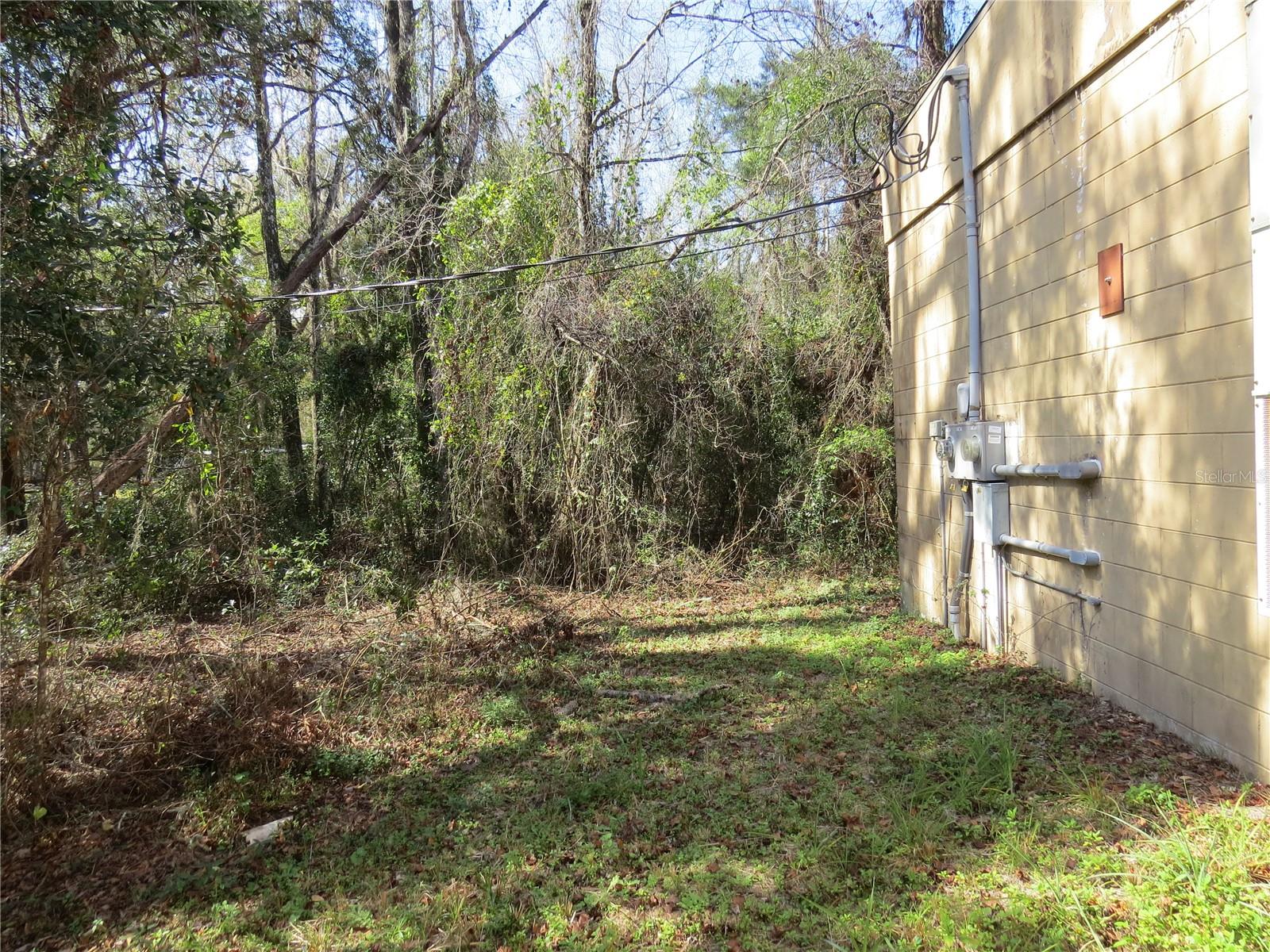 28380 Forbes St Property Photo 8