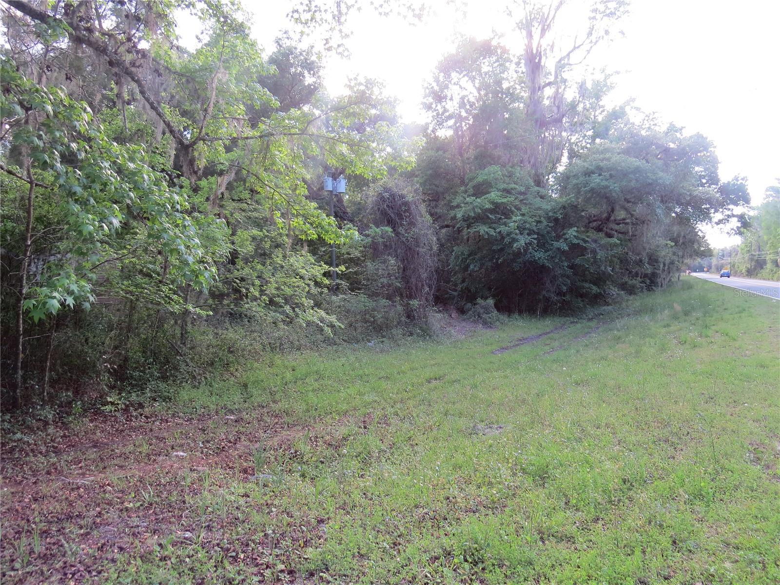 28380 Forbes St Property Photo 14
