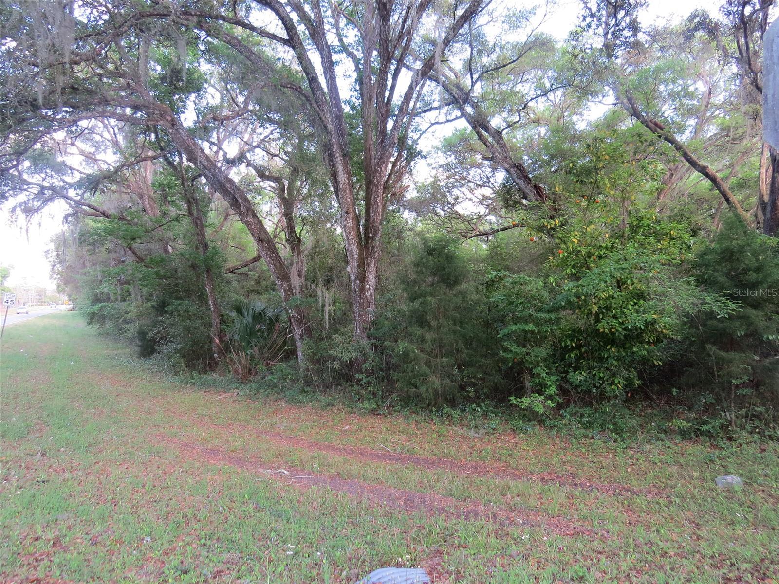 28380 Forbes St Property Photo 15