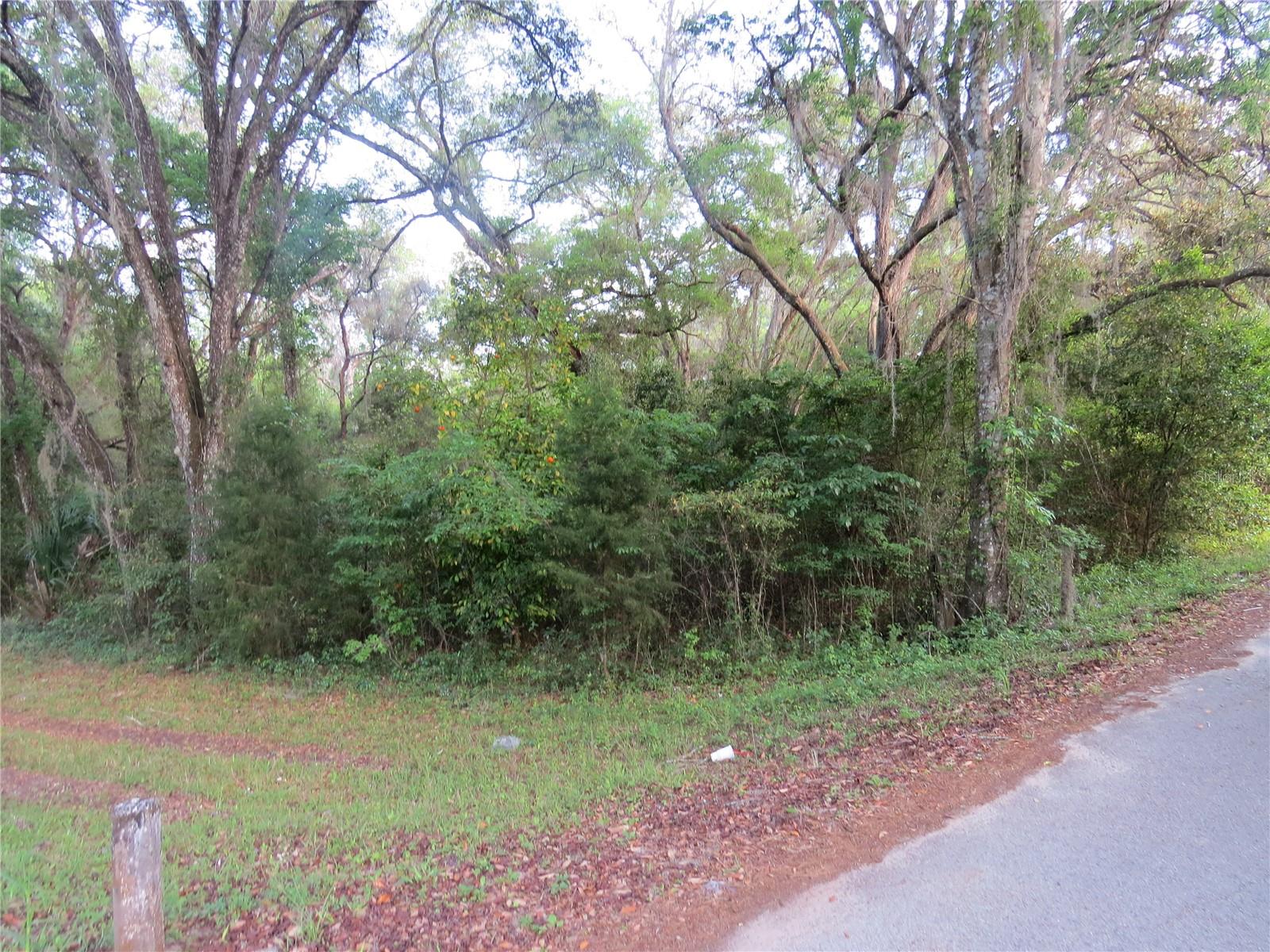 28380 Forbes St Property Photo 16