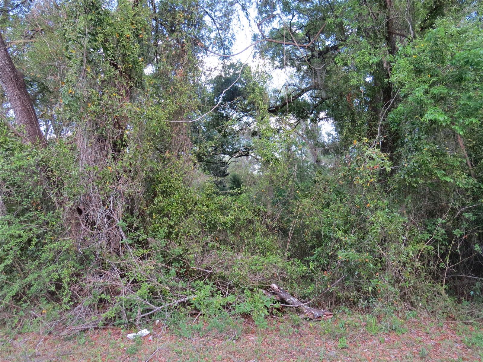 28380 Forbes St Property Photo 17