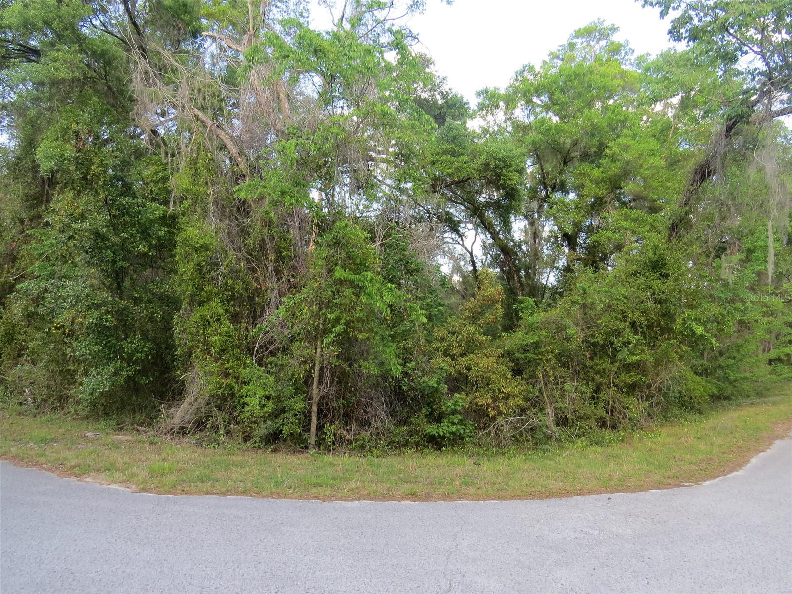 28380 Forbes St Property Photo 18