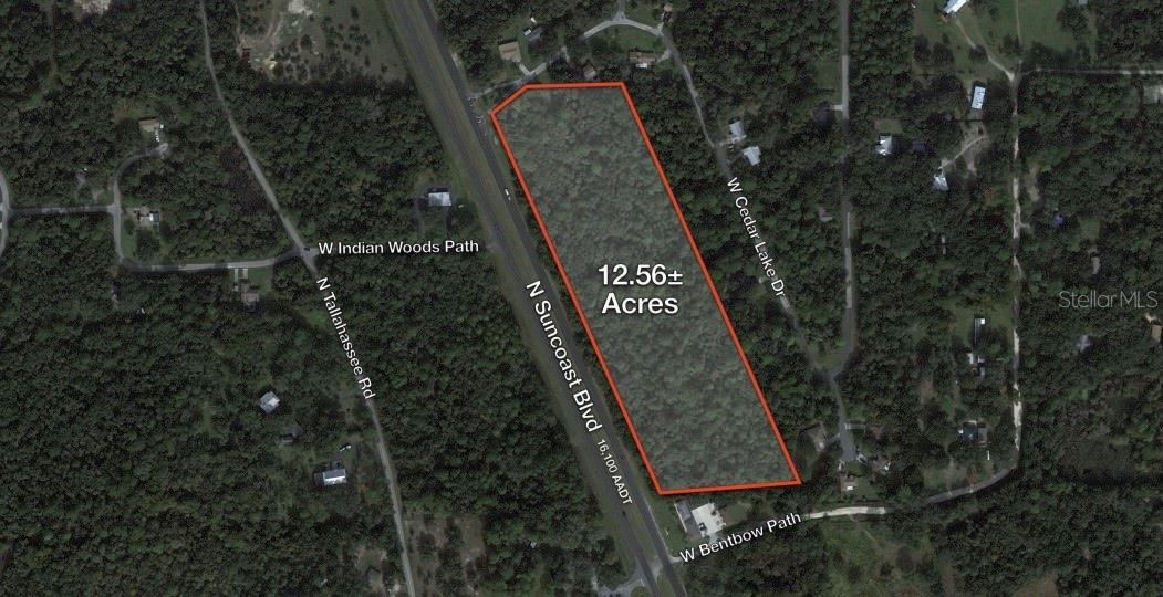 5551 N Suncoast Blvd Property Photo