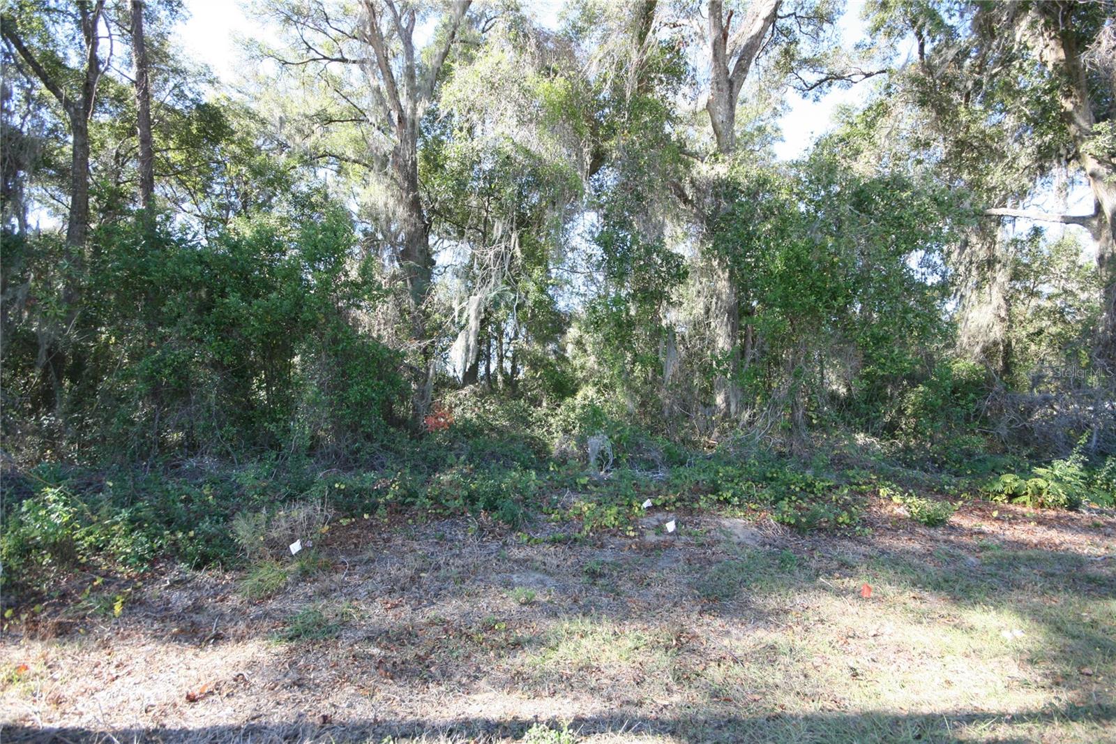 Ne 36 Ave Tbd Property Photo 5