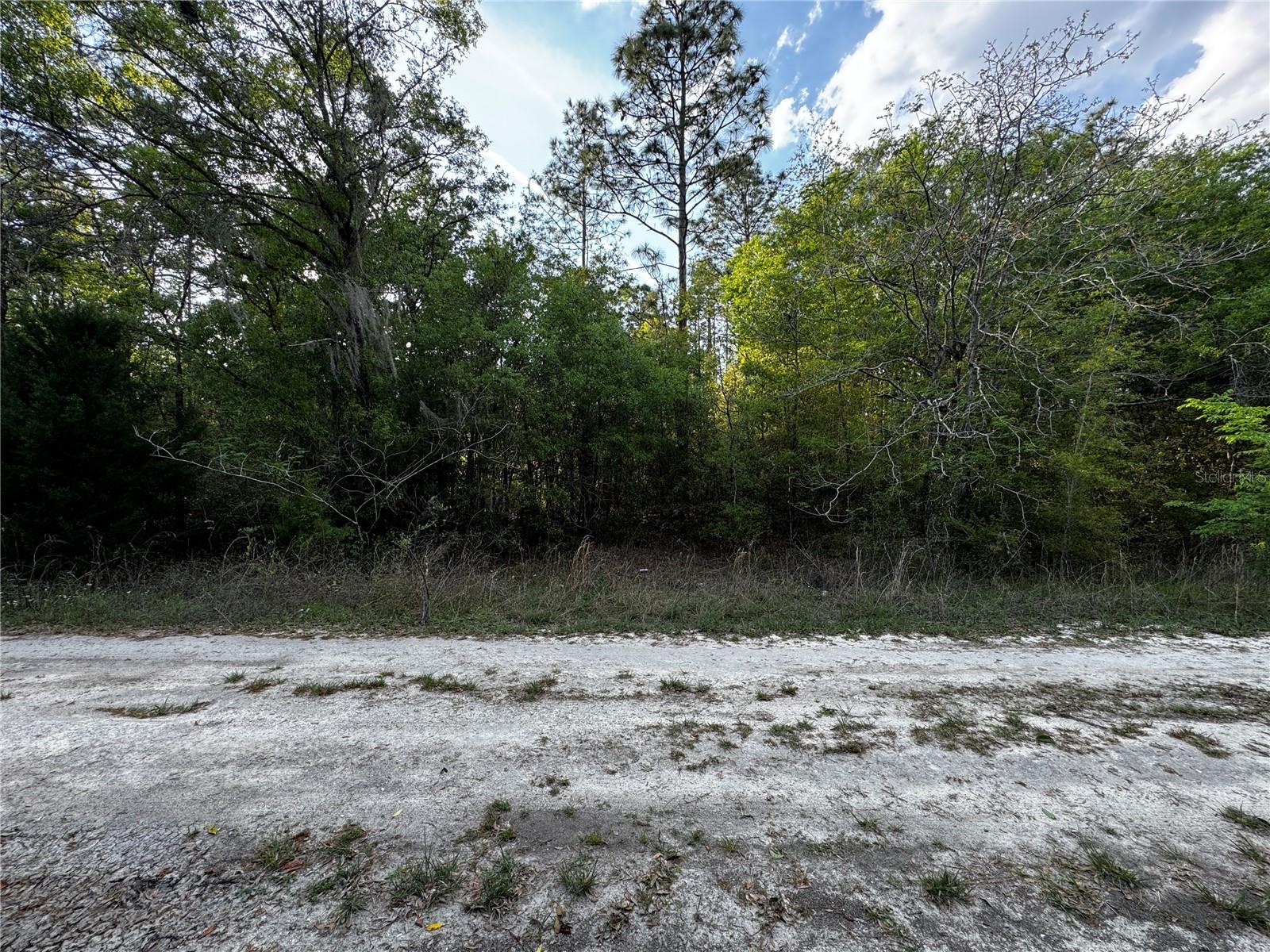 Ne 155th Ter Property Photo 1