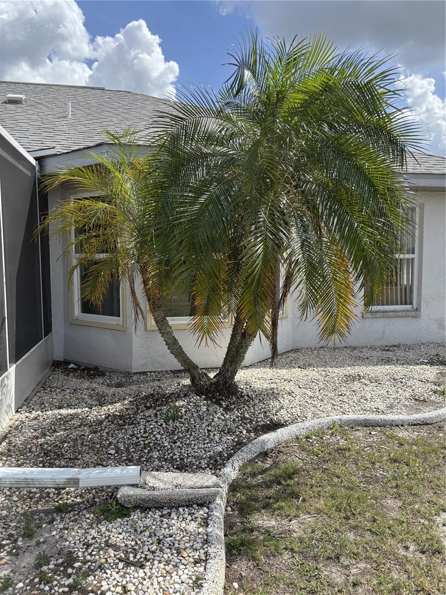 301 Caloosa Palms Ct Property Photo 36