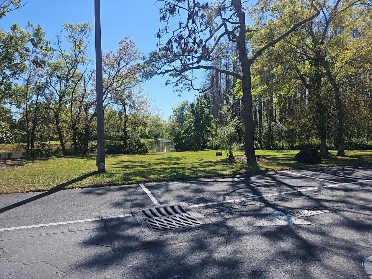 15100 Hutchison Rd Property Photo 23