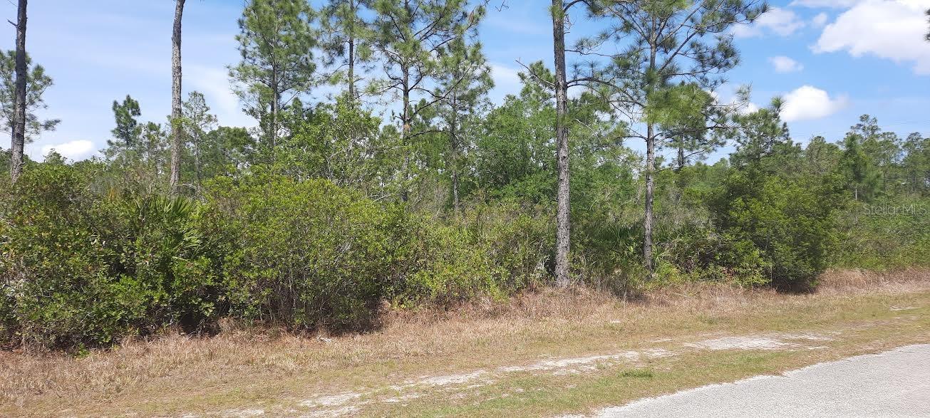 404 ALLAMANDA DR Property Photo 1