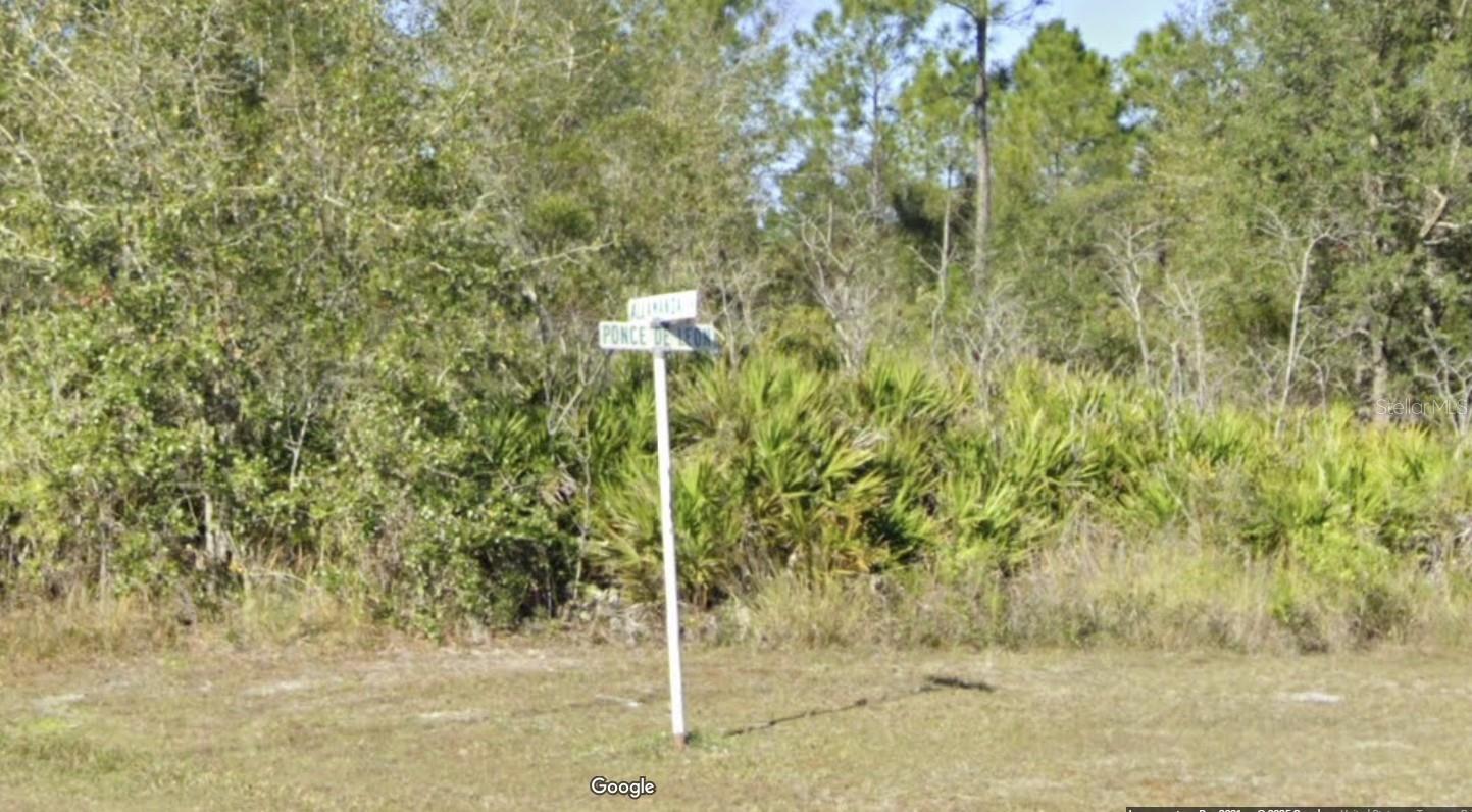 404 Allamanda Dr Property Photo 2