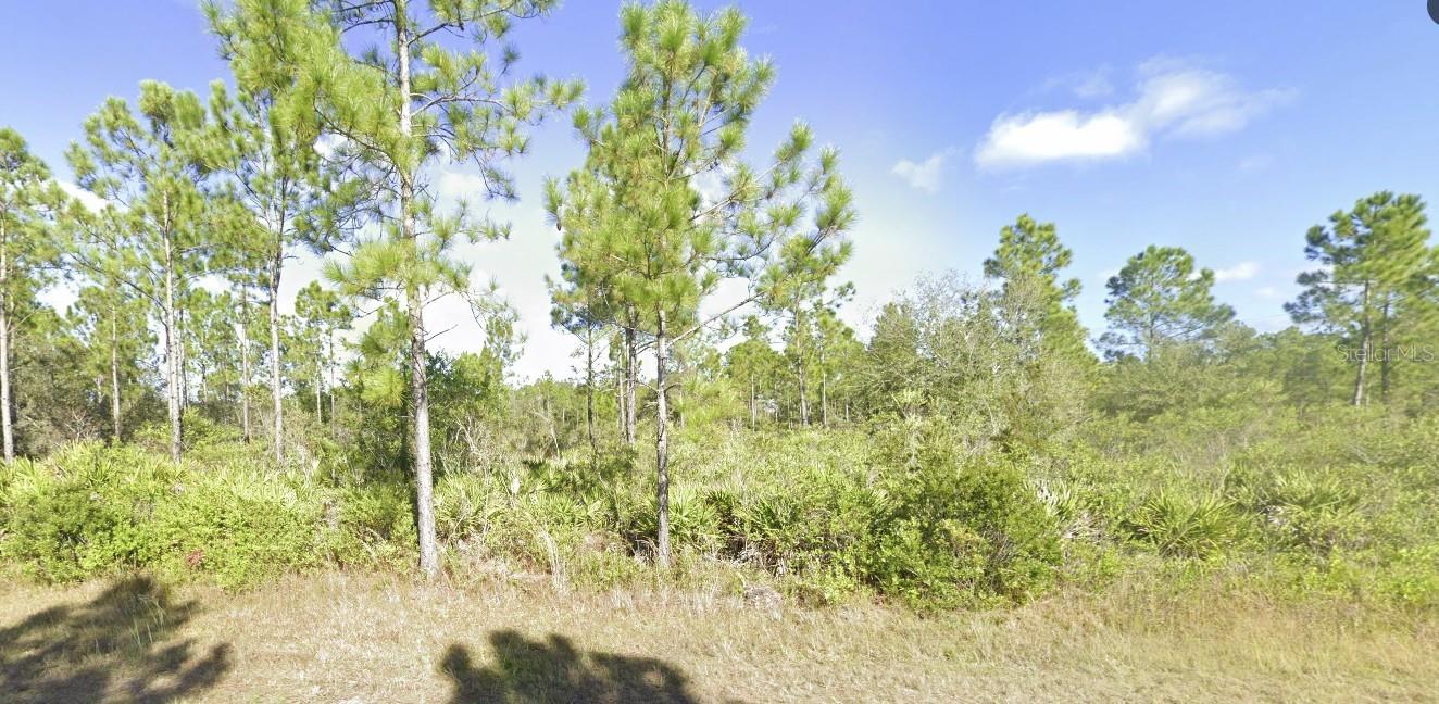 404 Allamanda Dr Property Photo 4