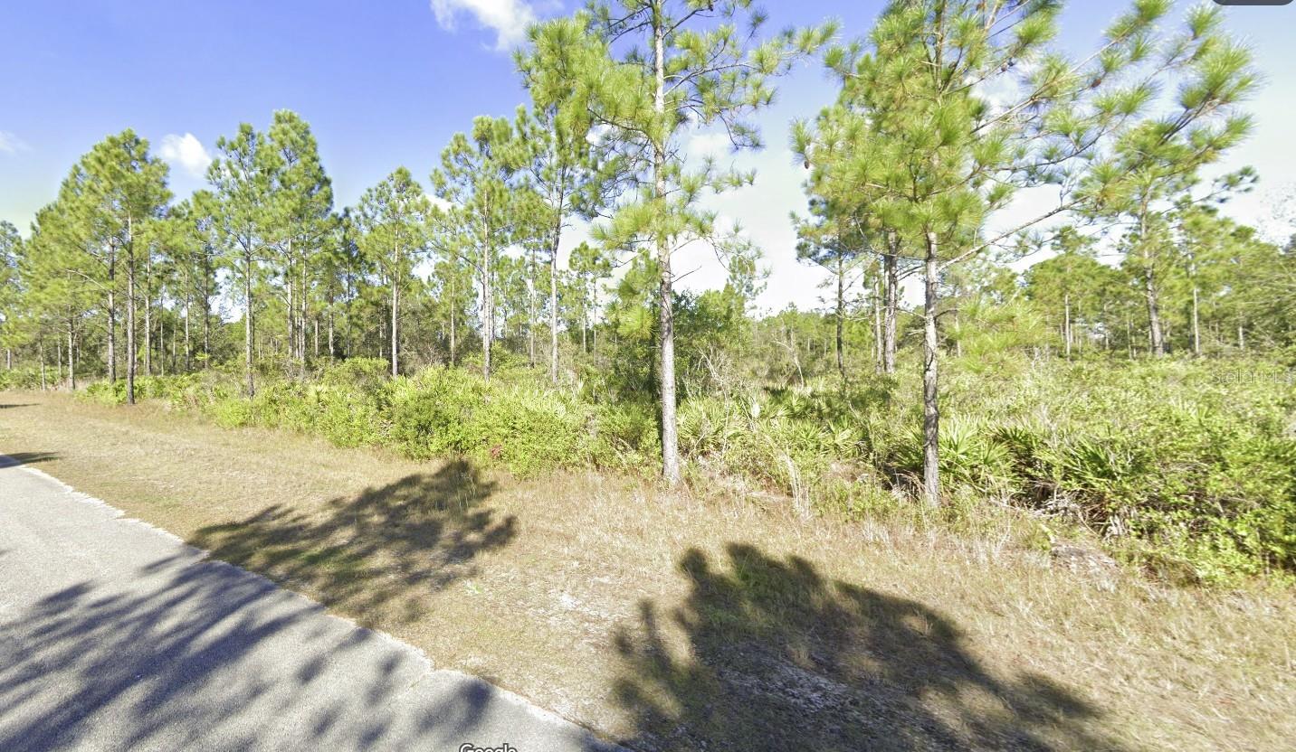 404 Allamanda Dr Property Photo 7
