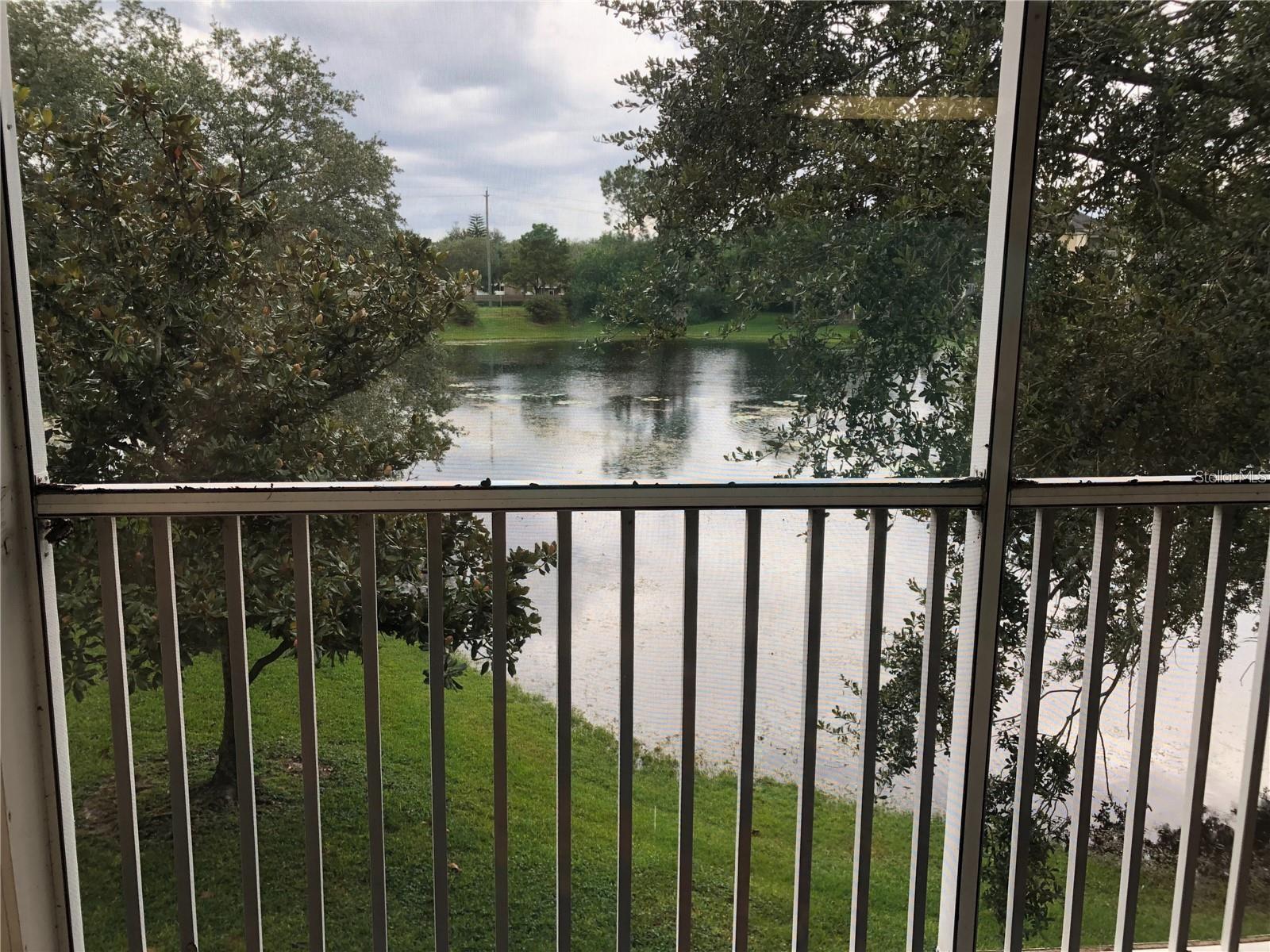 10114 Winsford Oak Blvd #517 Property Photo 8