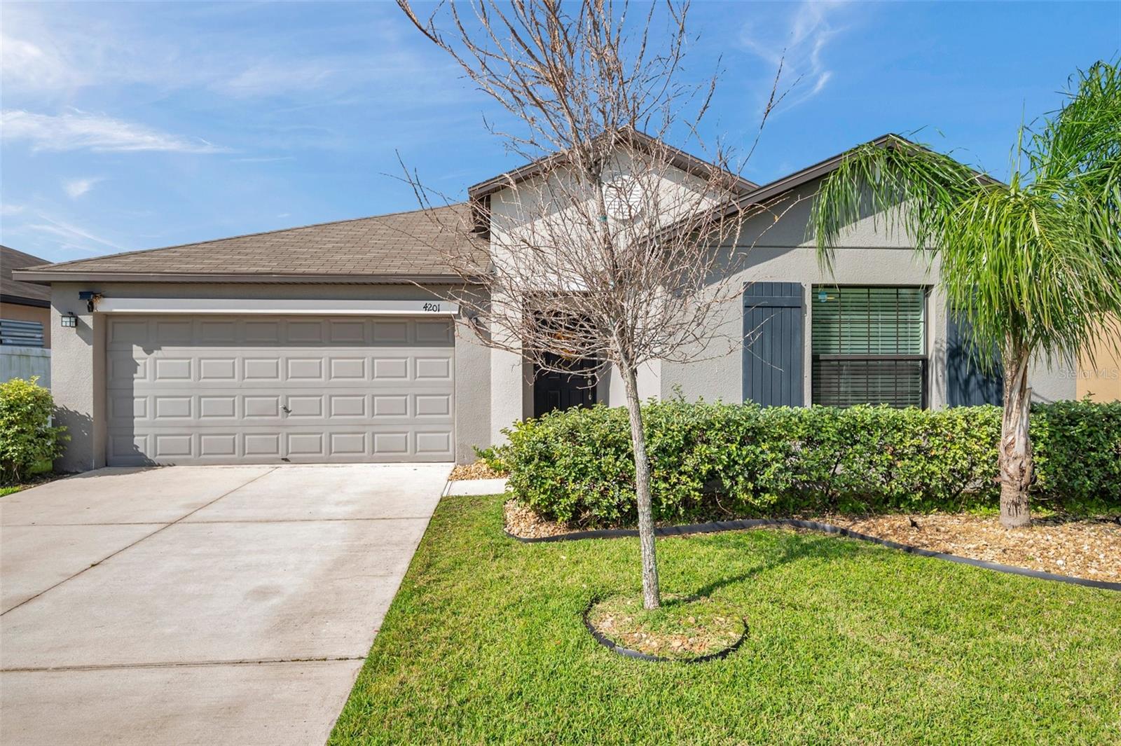 4201 Globe Thistle Dr Property Photo 1