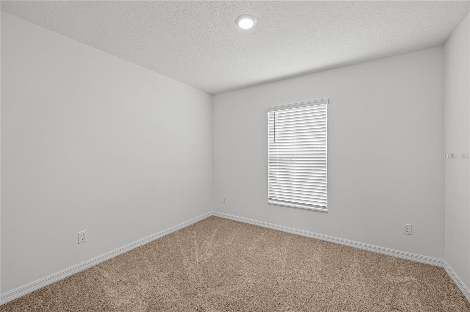 10 Sawfish Ct Property Photo 14