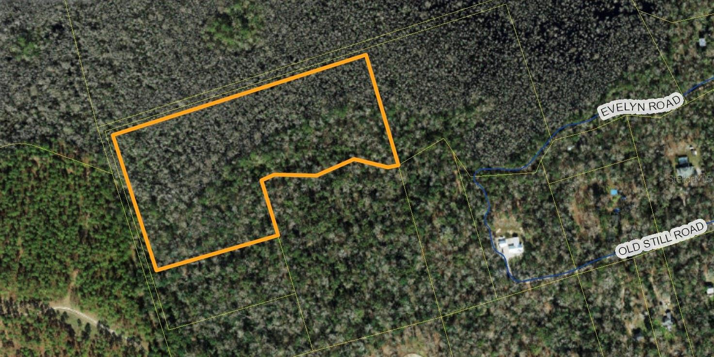 Evelyn Rd Property Photo