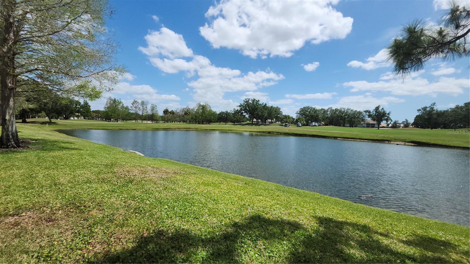 6618 Pineview Ter #6618 Property Photo