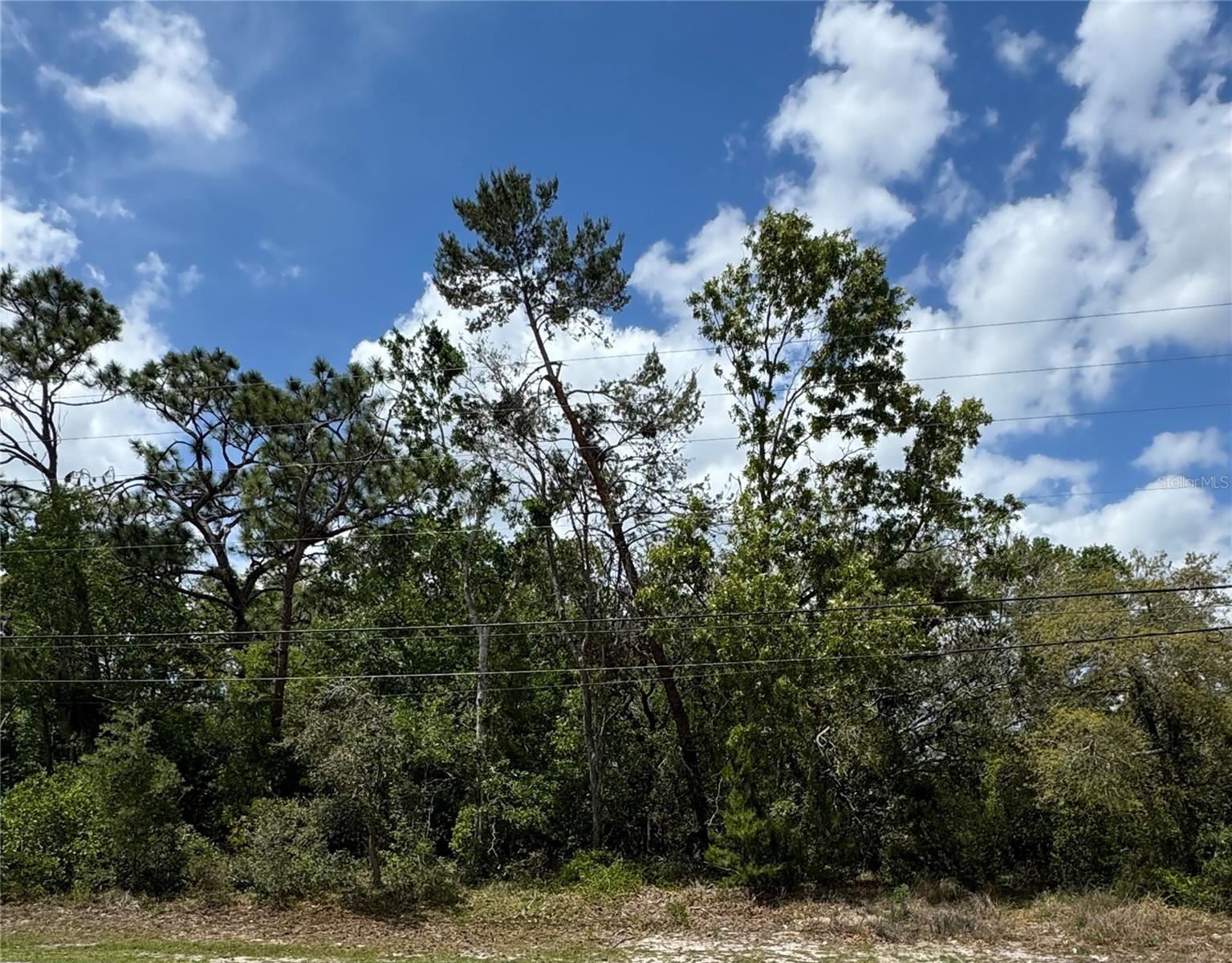 2185 Waterfall Dr Property Photo 1