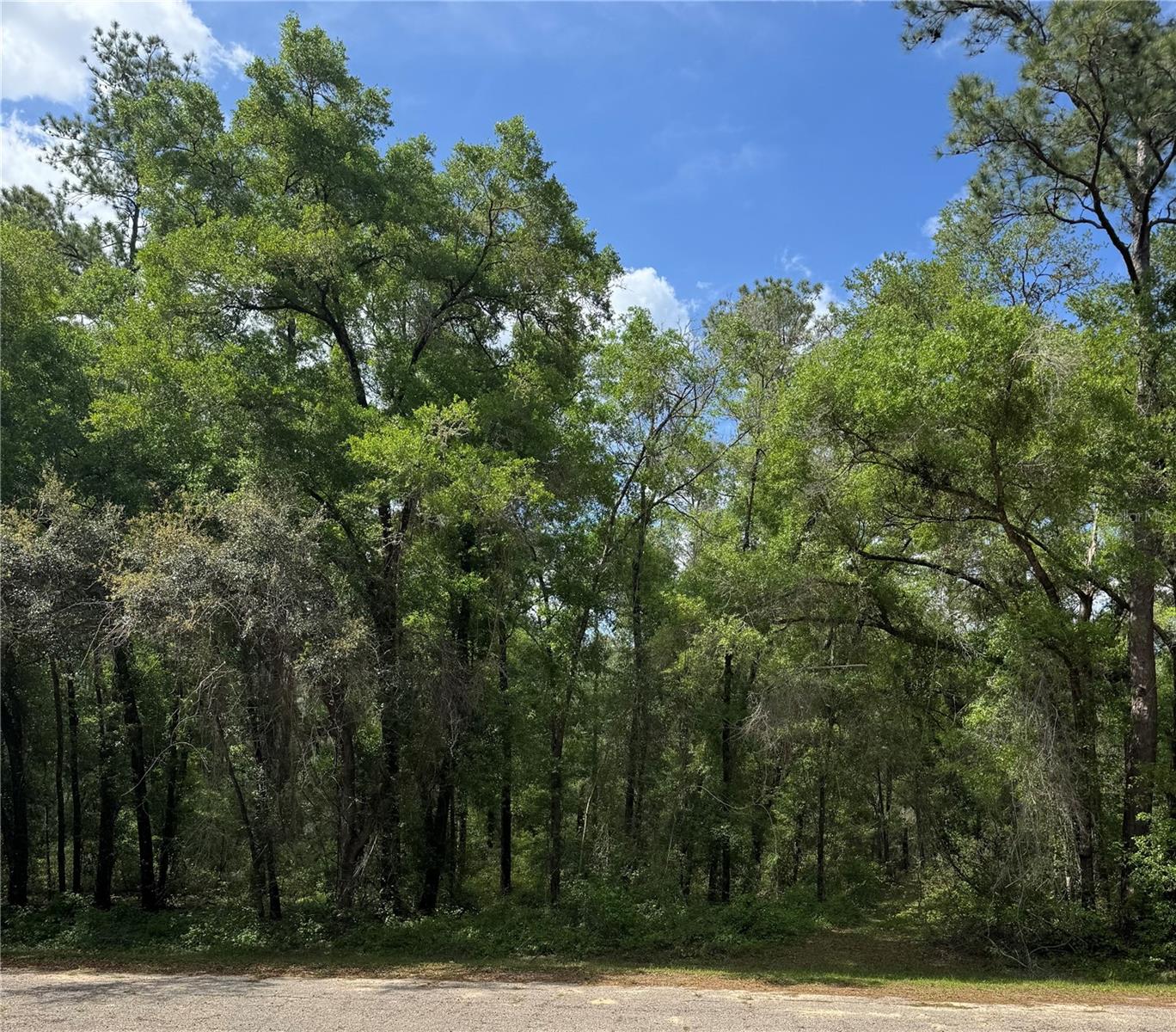455 E Avondale Dr Property Photo 2
