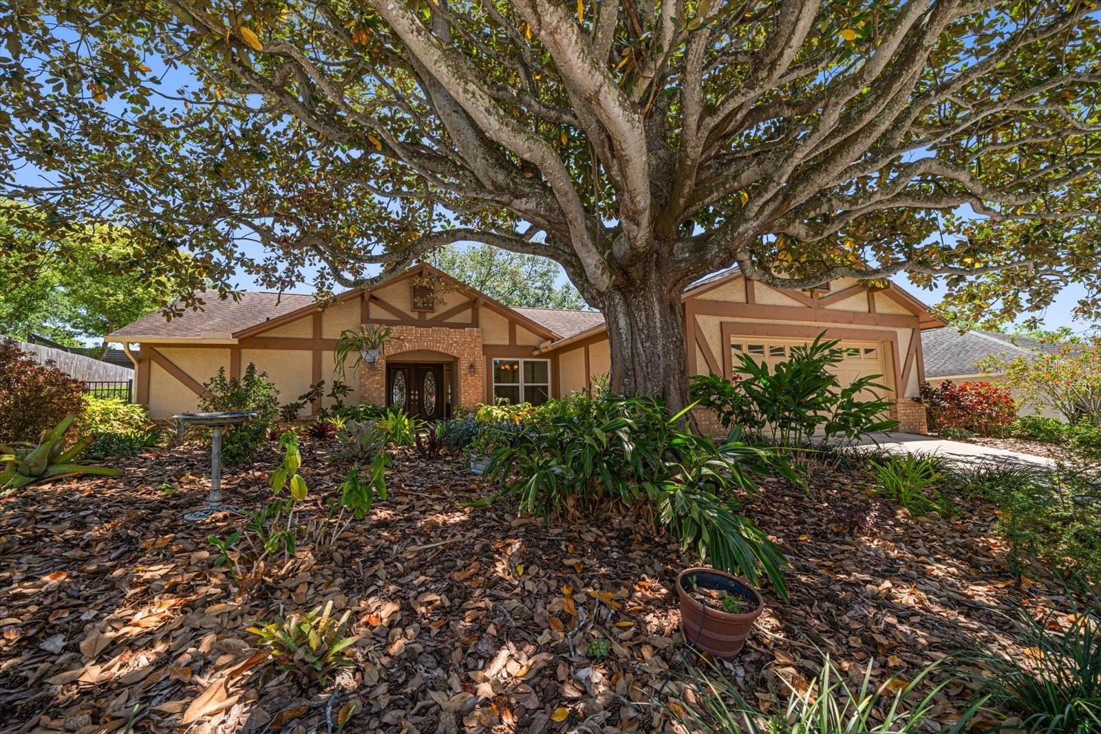 4868 Lake Valencia Blvd E Property Photo 3