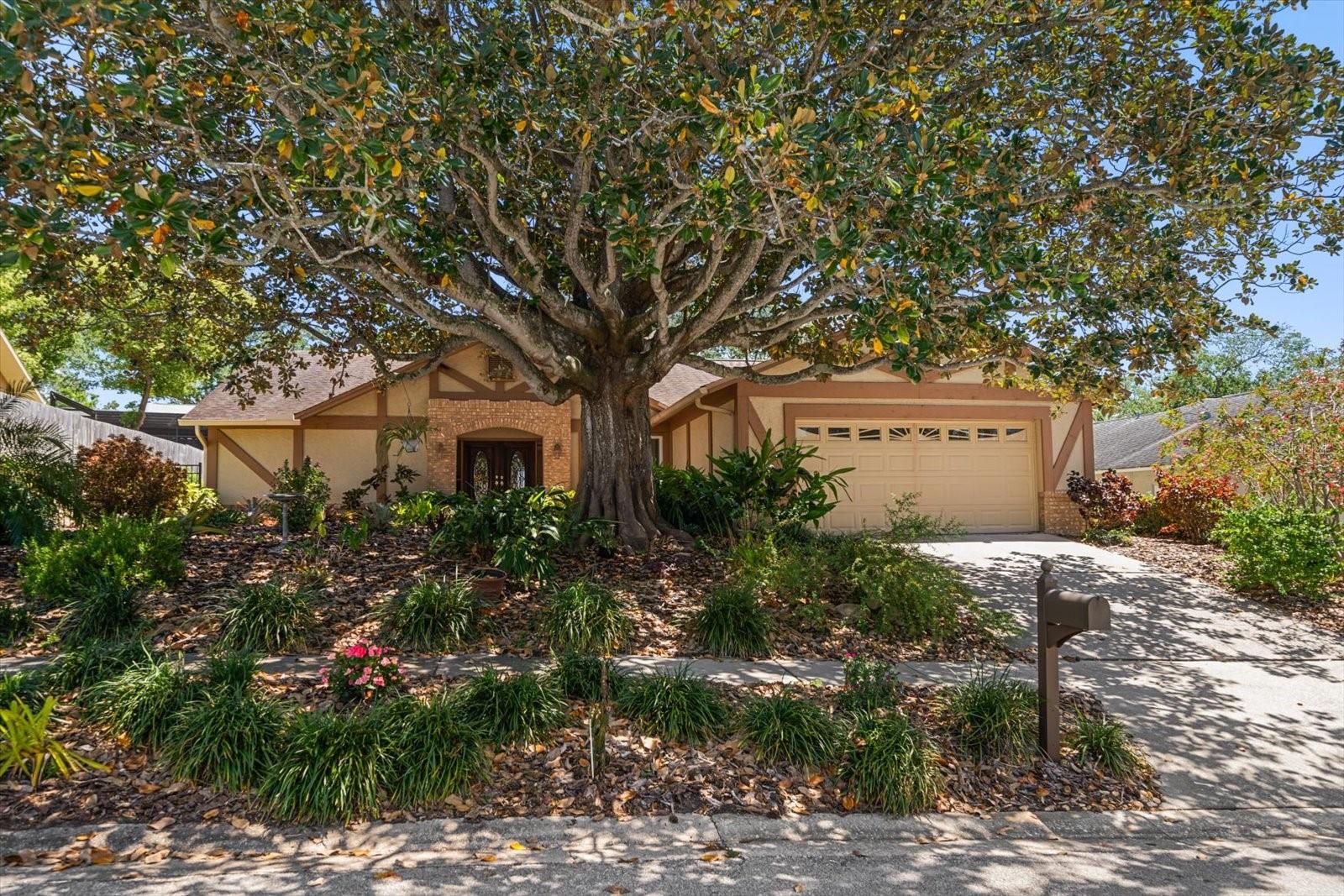 4868 Lake Valencia Blvd E Property Photo 7