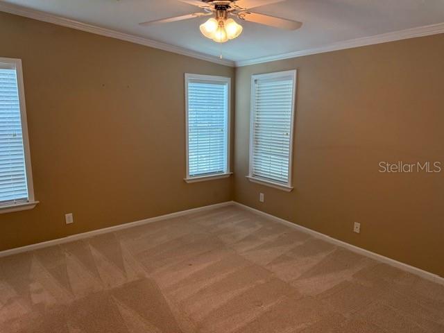 4851 W Gandy Blvd #b09l23 Property Photo 15