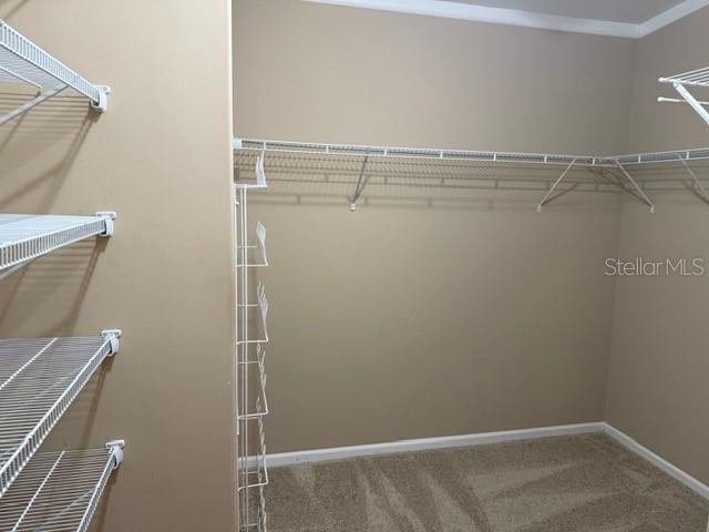 4851 W Gandy Blvd #b09l23 Property Photo 17
