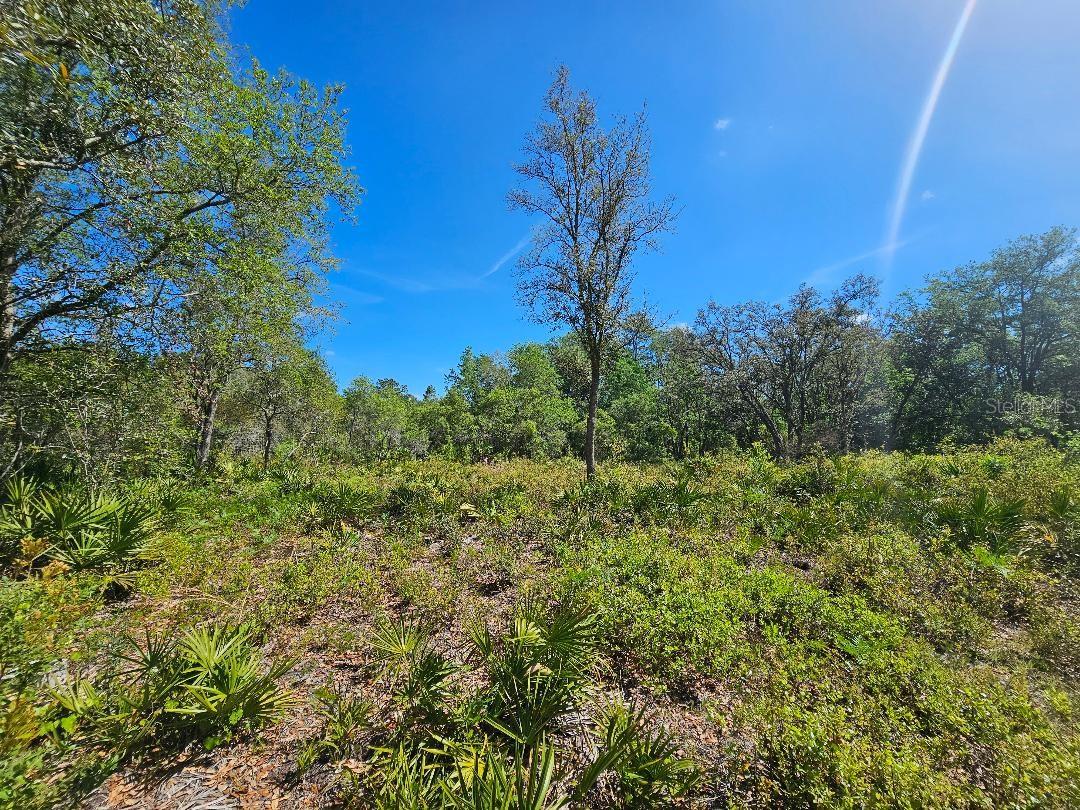 8130 Shellstream Dr Property Photo