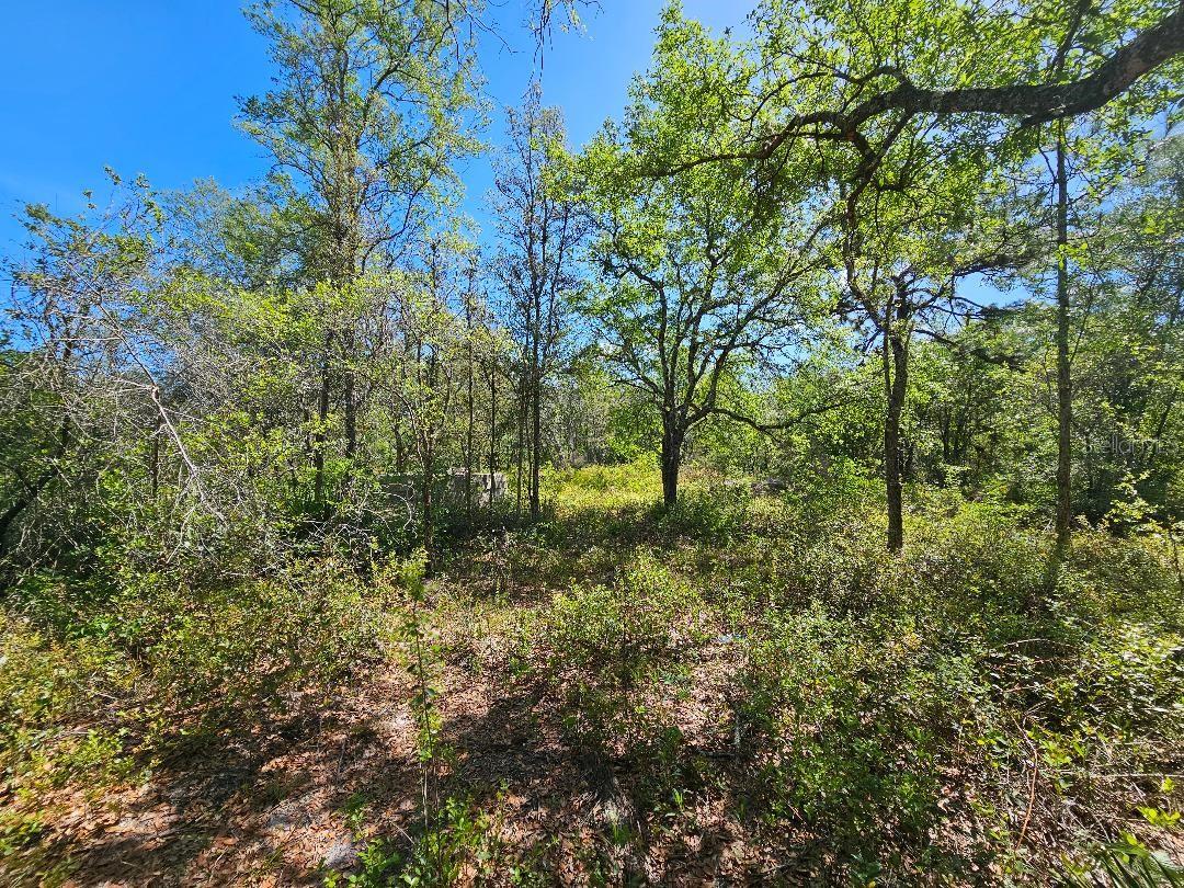 8130 Shellstream Dr Property Photo 3